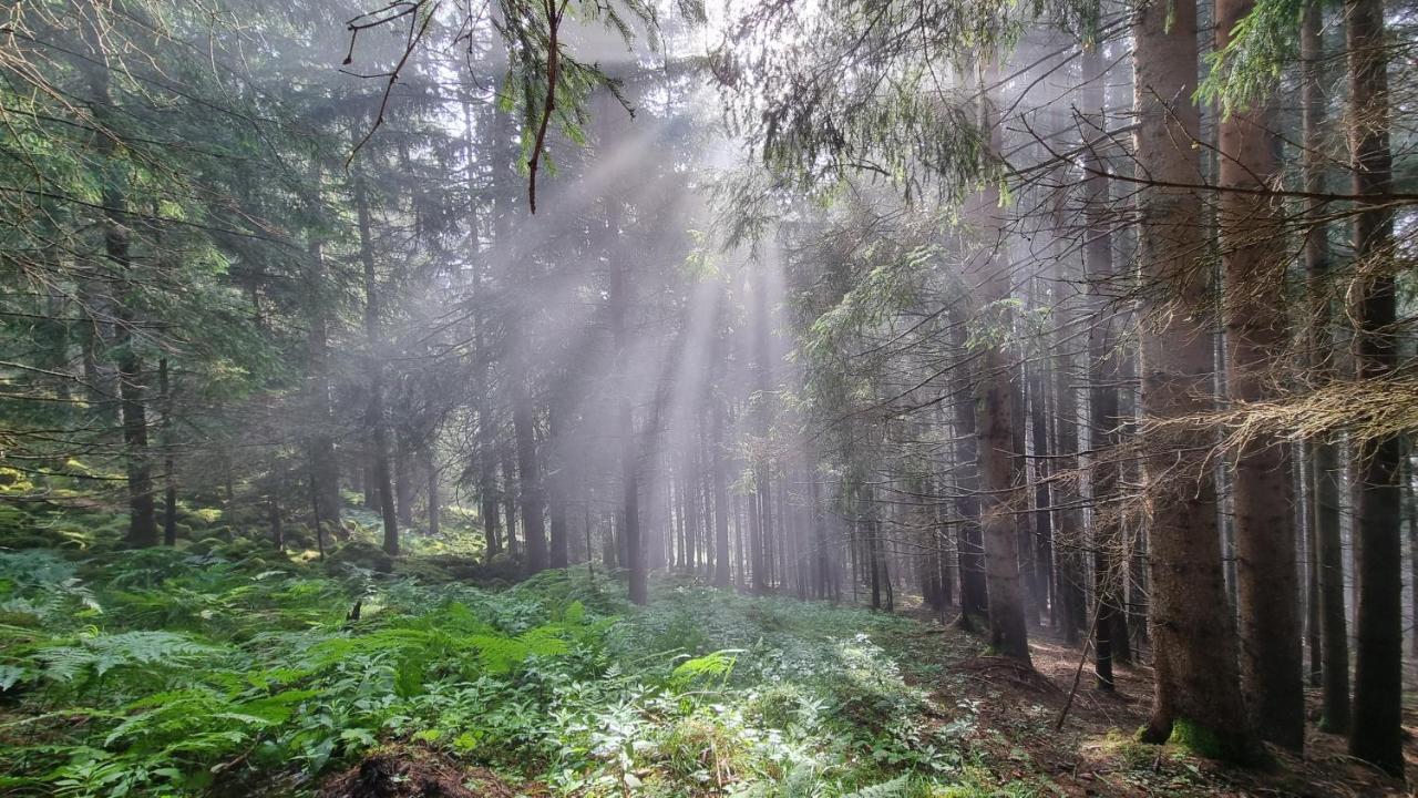 Ferienwohnungen Rabensteiner Бад Кляйнкирххайм Экстерьер фото