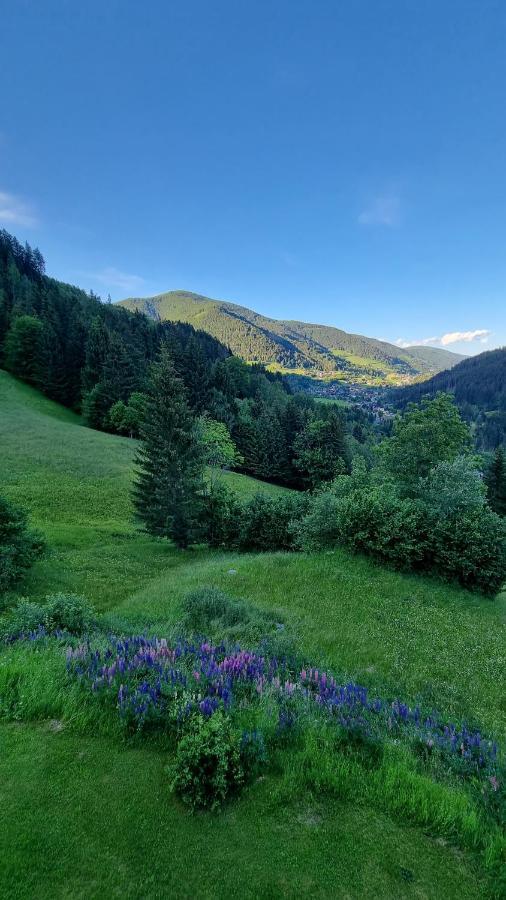 Ferienwohnungen Rabensteiner Бад Кляйнкирххайм Экстерьер фото